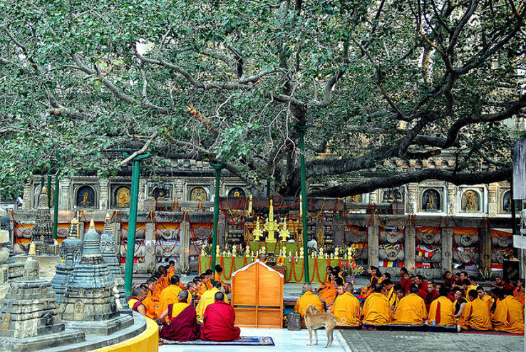 bodhgaya Family Tour Packages | call 9899567825 Avail 50% Off